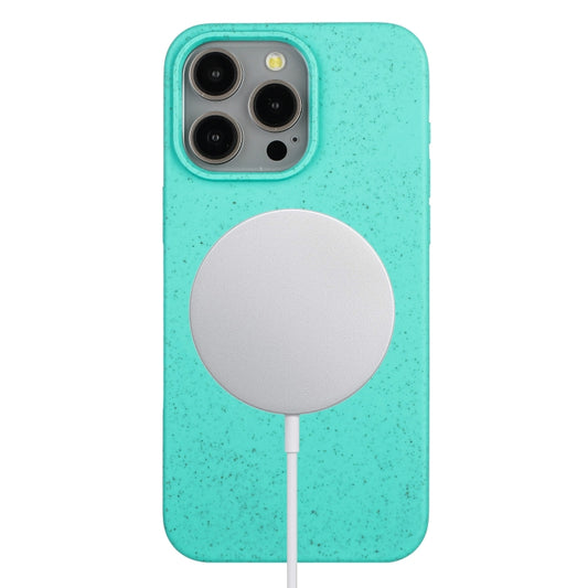 For iPhone 12 Pro Max Wheat MagSafe Magnetic Straw Material + TPU Phone Case(Green) - iPhone 12 Pro Max Cases by buy2fix | Online Shopping UK | buy2fix