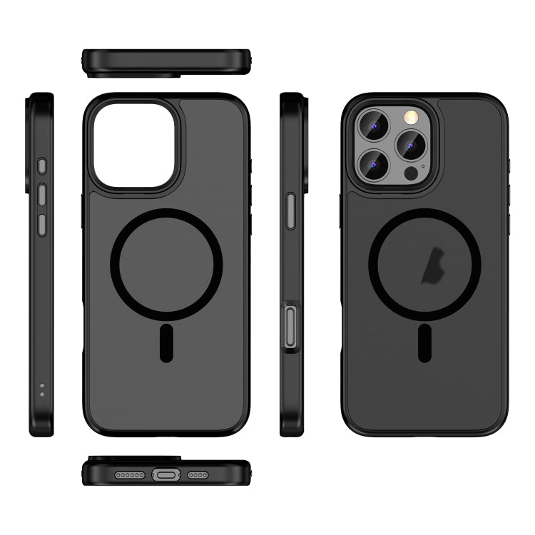 For iPhone 11 Pro Skin Feel Frosted MagSafe Magnetic Phone Case(Transparent Black) - iPhone 11 Pro Cases by buy2fix | Online Shopping UK | buy2fix