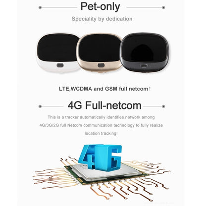 RF-V43 B Style IP67 Waterproof GPS + LBS + WiFi Pet Locator Pet Collar Tracking Device For North America/South America(Black) - Pet Tracker by buy2fix | Online Shopping UK | buy2fix