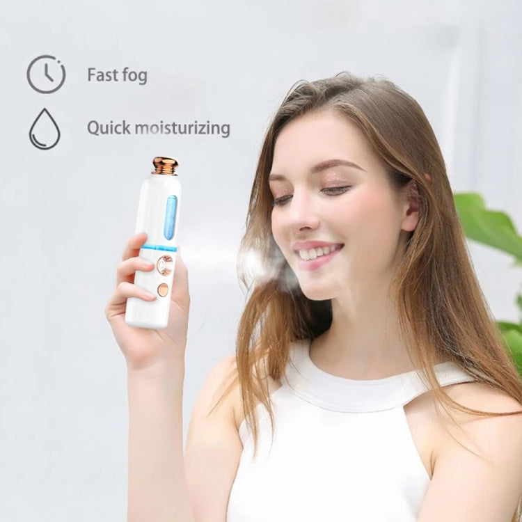 Facial Steamer Nano Spray Water Replenishing Instrument Portable Cold Spray Machine Charging Beauty Instrument Automatic Alcohol Sprayer, Style:Crown(White) - Beauty Instrument by buy2fix | Online Shopping UK | buy2fix