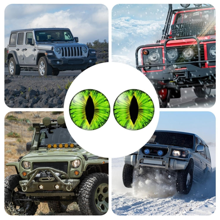 1pair Beast Eyes Headlight Decorative Stickers Off-Road Vehicle Front Lights Stereo Decals, Style: 9 - Lamp Decoration by buy2fix | Online Shopping UK | buy2fix