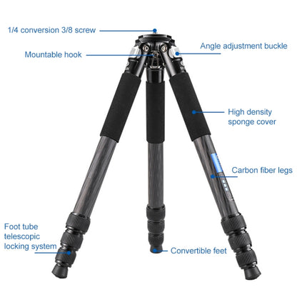 BEXIN RC294 Portable Collapsible Carbon Fiber Camera Tripod - Tripods by BEXIN | Online Shopping UK | buy2fix