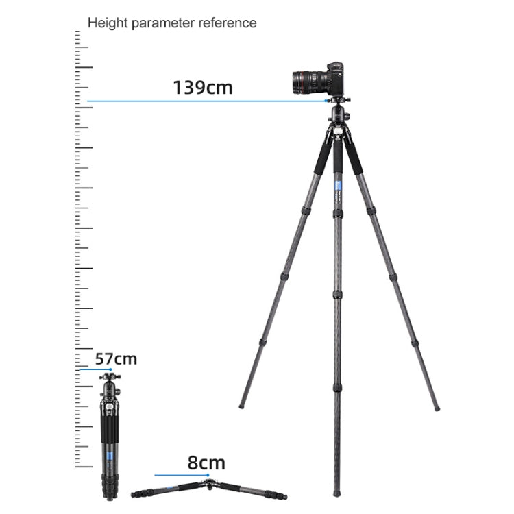 BEXIN RC294 Portable Collapsible Carbon Fiber Camera Tripod - Tripods by BEXIN | Online Shopping UK | buy2fix