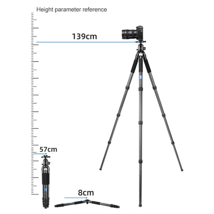 BEXIN RC294 Portable Collapsible Carbon Fiber Camera Tripod - Tripods by BEXIN | Online Shopping UK | buy2fix