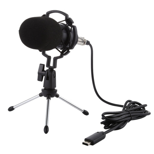 BM-700 USB Professional Condenser Microphone - Consumer Electronics by buy2fix | Online Shopping UK | buy2fix