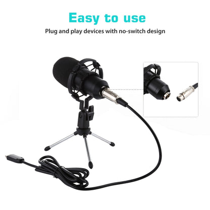 BM-700 USB Professional Condenser Microphone - Consumer Electronics by buy2fix | Online Shopping UK | buy2fix