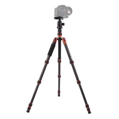 Triopo GT-2505x8.C Adjustable Portable Carbon Fiber Tripod with B-1 Aluminum Ball Head for Canon Nikon Sony DSLR Camera(Black) - Tripods by TRIOPO | Online Shopping UK | buy2fix