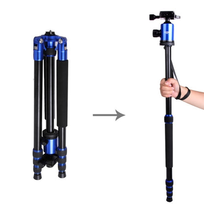 ZOMEI Z888 Portable Professional Travel Aluminium Tripod Monopod with Ball Head for Digital Camera(Blue) - Tripods by ZOMEI | Online Shopping UK | buy2fix