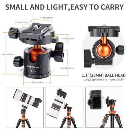 K&F CONCEPT KF31.023V3 360 Degree Rotating Panoramic Metal Tripod Ball Head with 1/4 Inch Quick Release Plate - Camera Accessories by K&F | Online Shopping UK | buy2fix