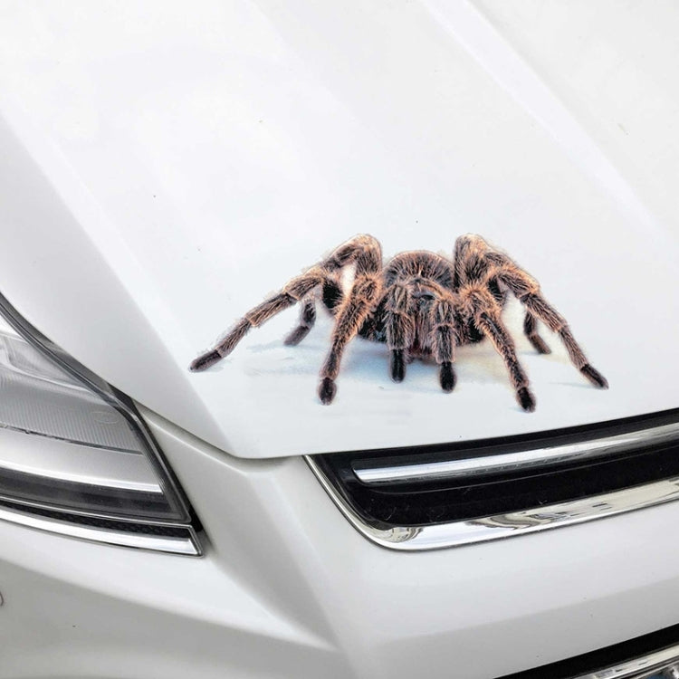 2 PCS Creative Personality Scratch Cover  Car Body Sticker(Black Spider) - 3D Creative Stickers by buy2fix | Online Shopping UK | buy2fix