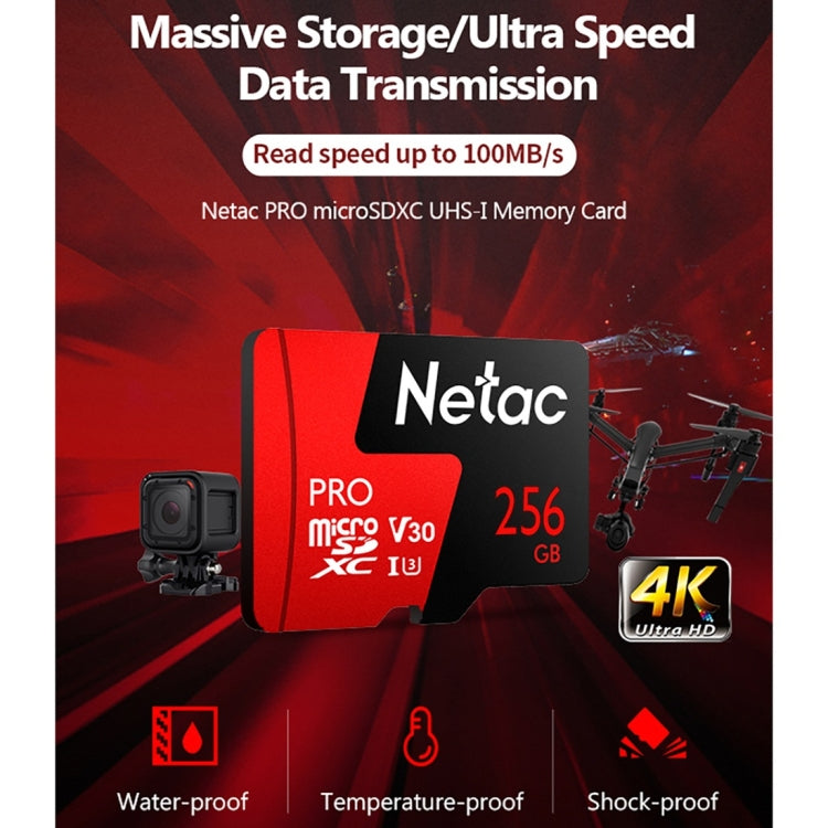 Netac P500 PRO 256GB U3 Speed Level Automobile Data Recorder Monitor Camera Memory Card TF Card - Micro SD Card by Netac | Online Shopping UK | buy2fix